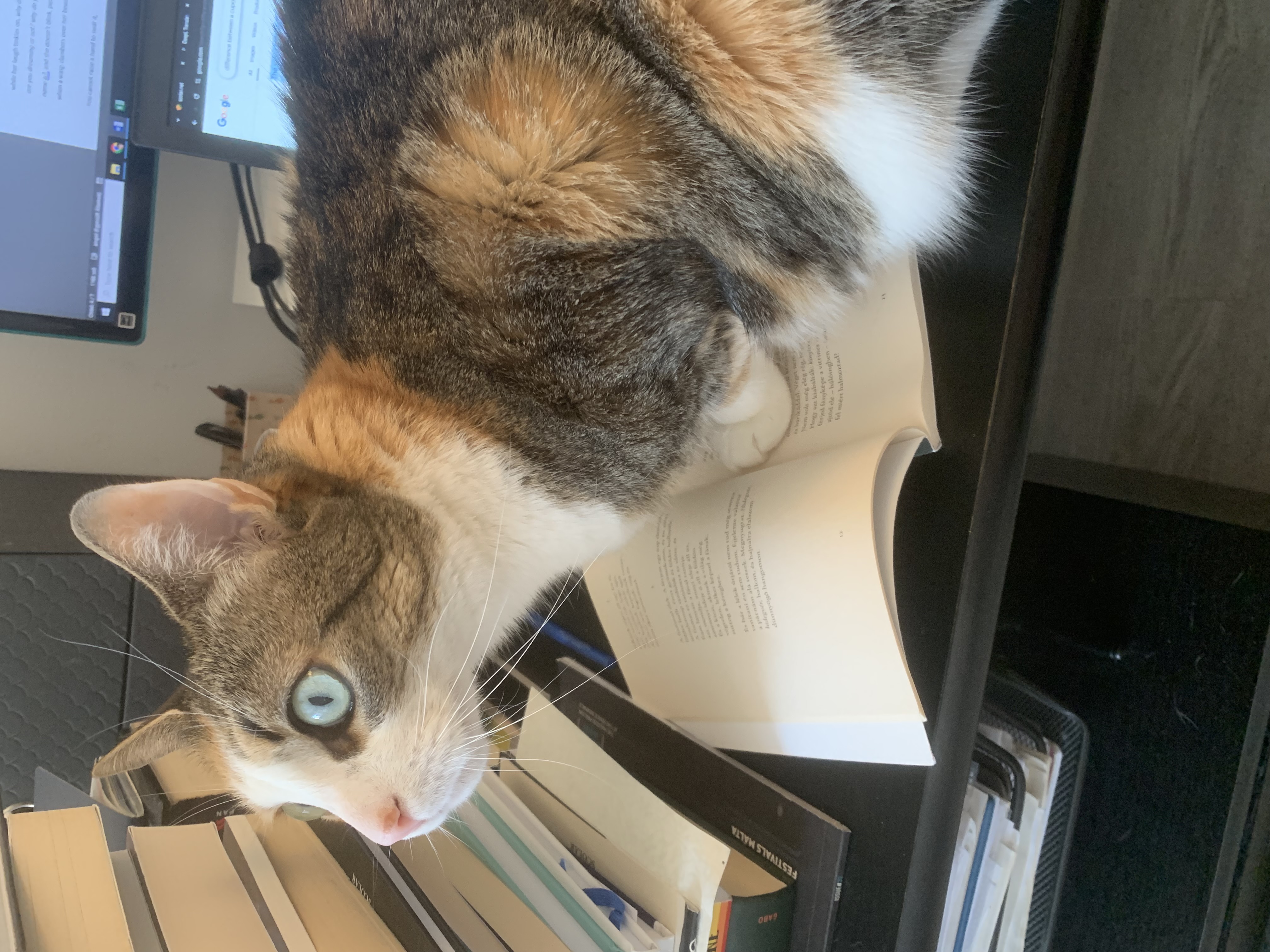 Austin: Aretha helping me translate poetry.